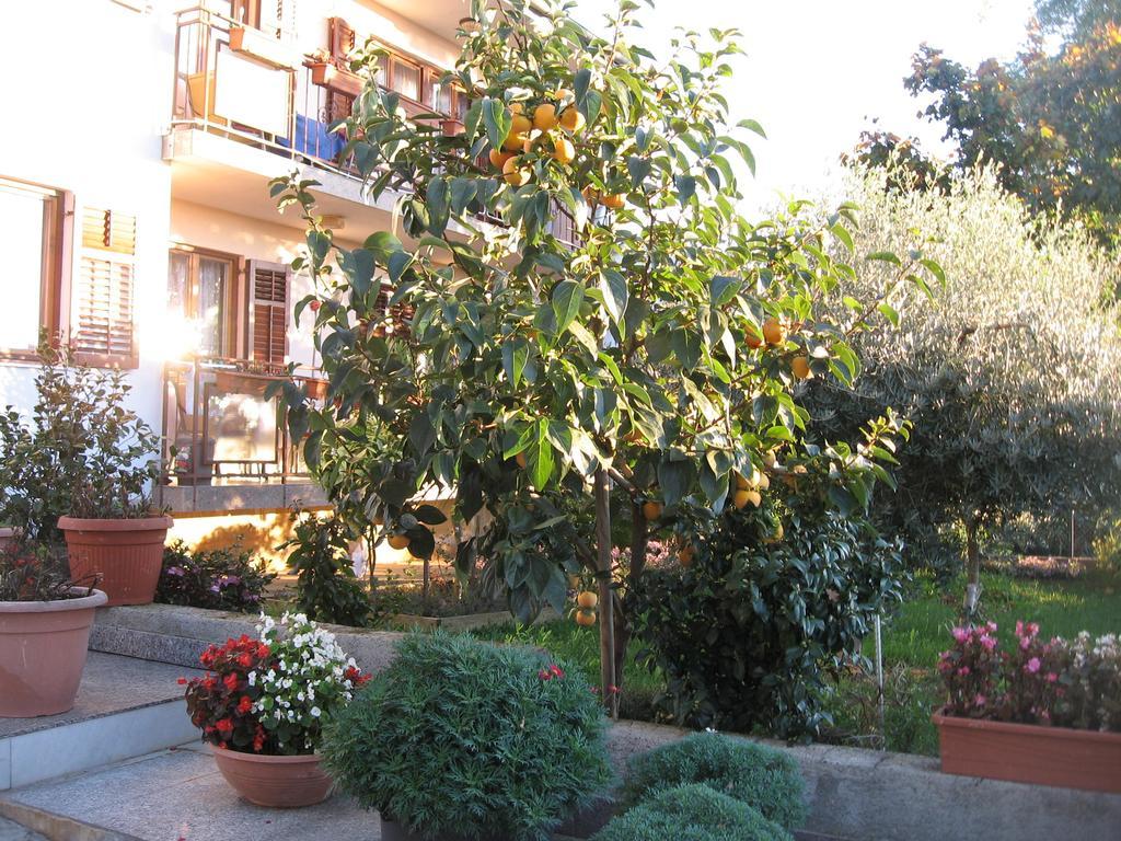 Apartments Adelita Пореч Екстериор снимка